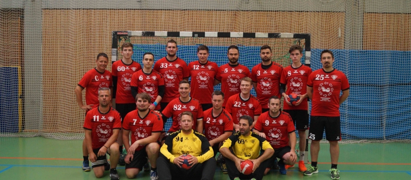 tvb_handball-mannschaftsbild_2019-2020